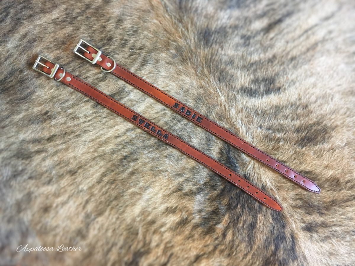 custom leather dog collar