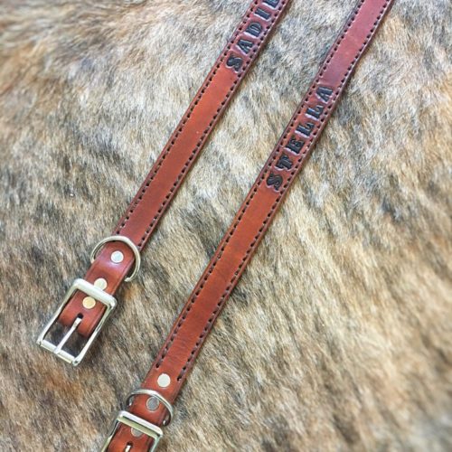custom leather dog collar