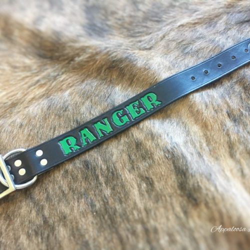 Custom leather dog collar